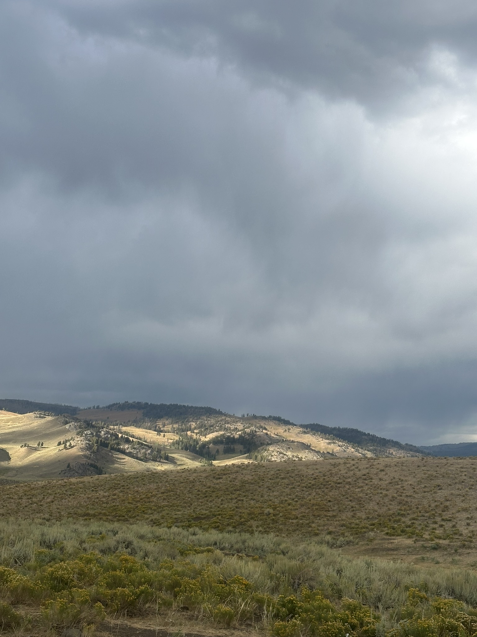 Yellowstone And Grand Teton National Parks - Image 1092